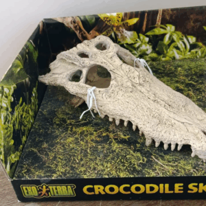Exo Terra Craneo De Cocodrilo Para Acuario – Resina