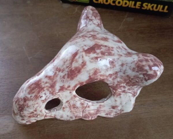 Adorno para acuario craneo pokemon Cubone Cerámica - Imagen 2